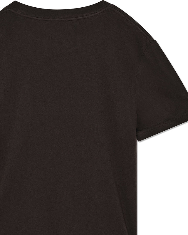 Camiseta Bird Scratch - Marrón Java